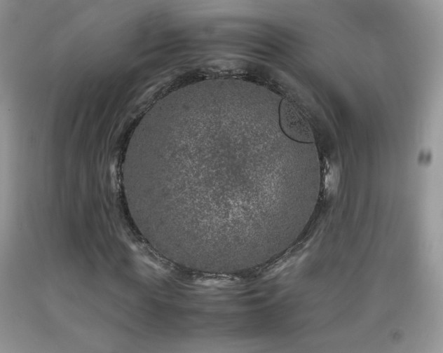 X0000092290819200709141258