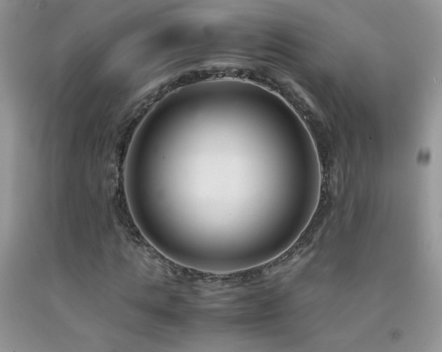 X0000092290821200709141258