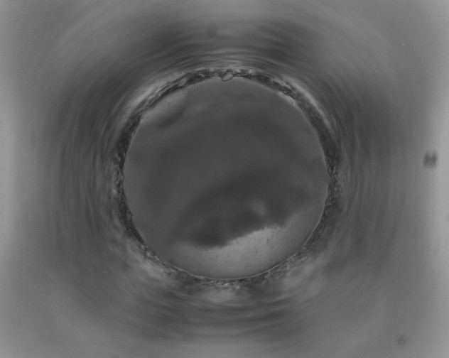 X0000092290823200709141258