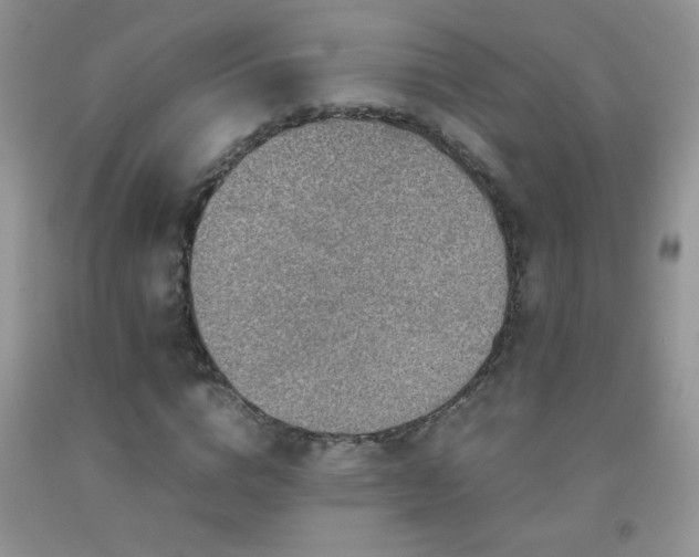 X0000092290824200709141258