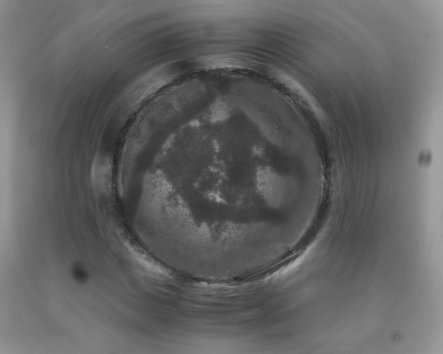 X0000092290825200709141258