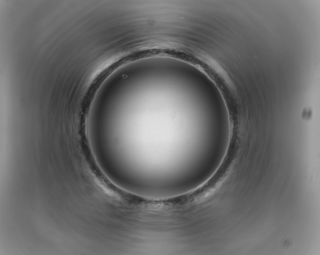 X0000092290826200709141258