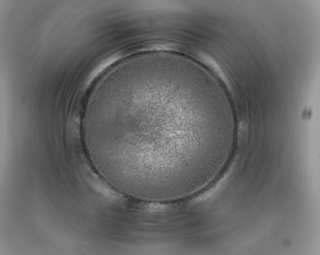 X0000092290827200709141258
