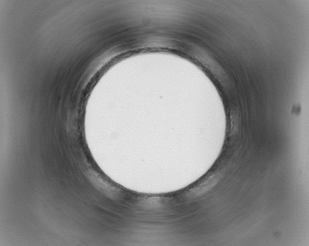 X0000092290828200709141258