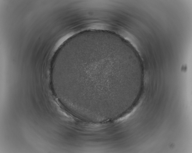 X0000092290829200709141258