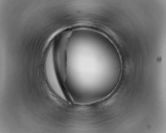 X0000092290830200709141258