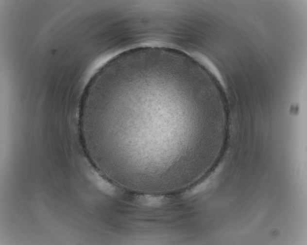 X0000092290831200709141258