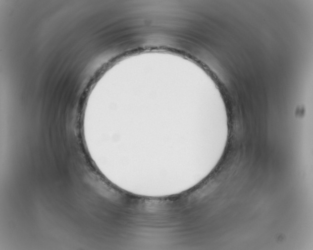 X0000092290832200709141258