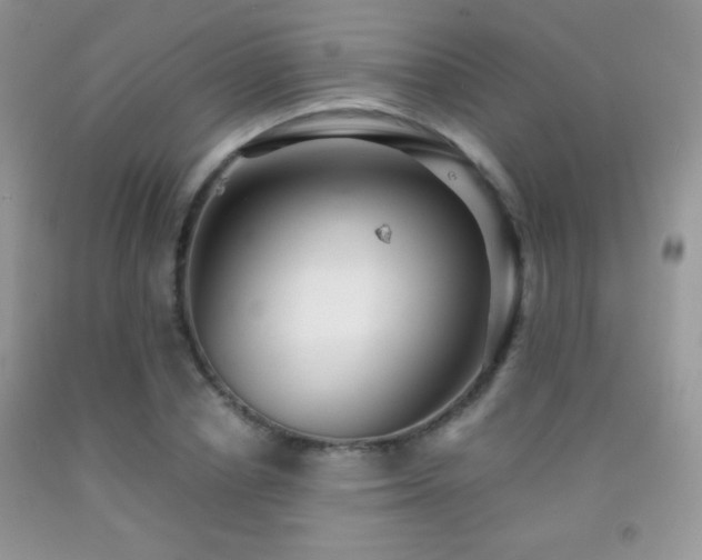 X0000092290834200709141258