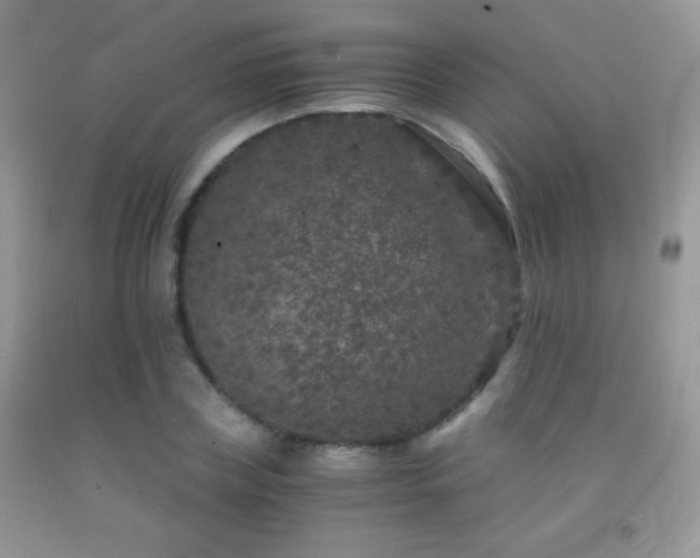 X0000092290835200709141258