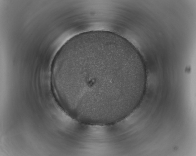 X0000092290836200709141258