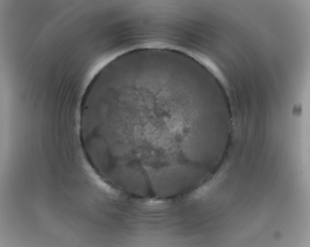 X0000092290839200709141258