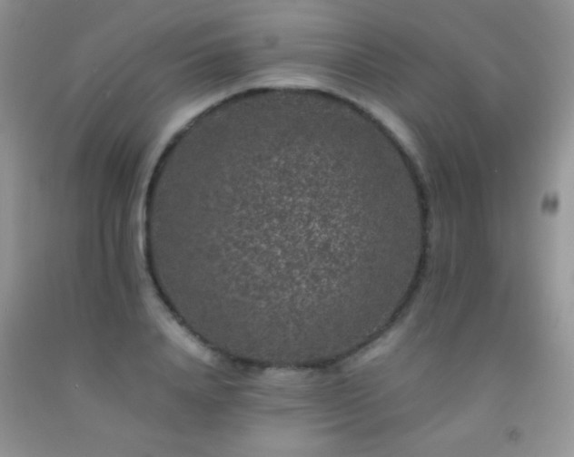 X0000092290840200709141258