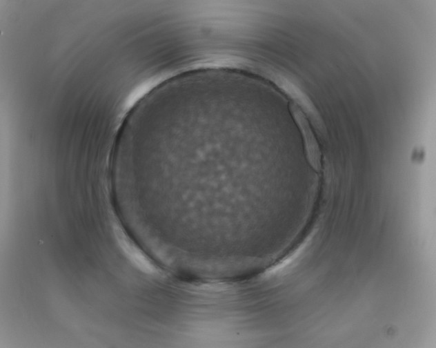 X0000092290842200709141258