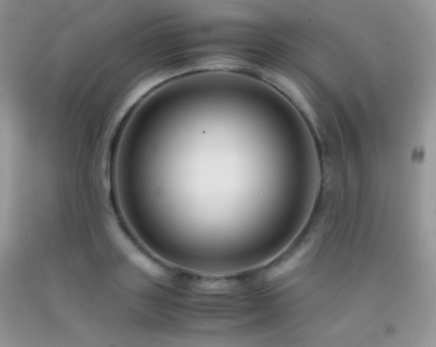 X0000092290843200709141258