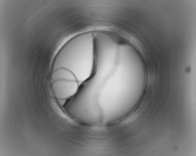 X0000092290844200709141258