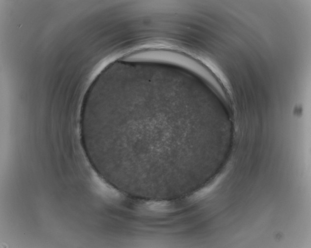 X0000092290845200709141258