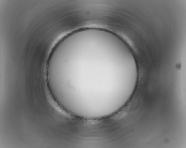 X0000092290848200709141258