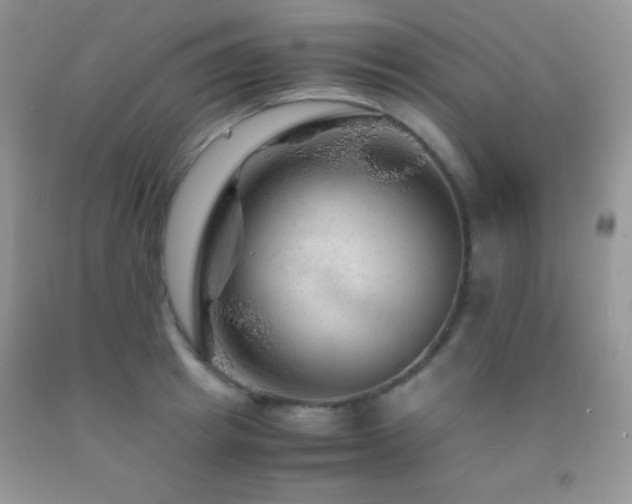 X0000092290849200709141258