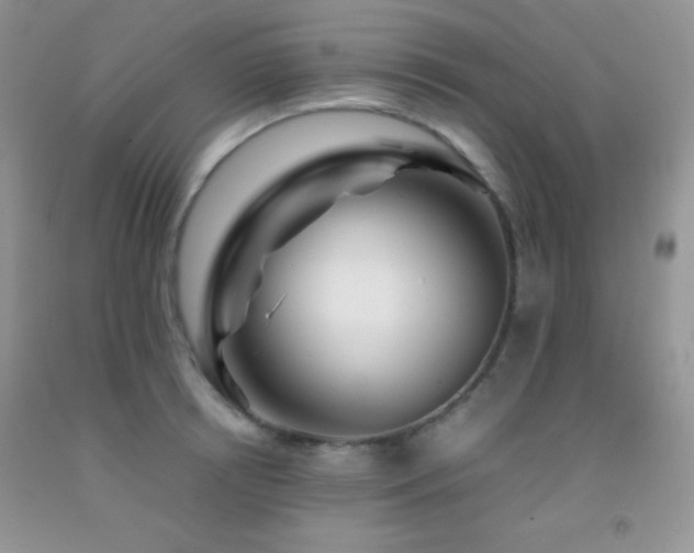 X0000092290850200709141258