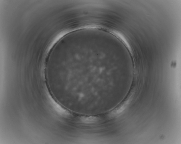 X0000092290851200709141258