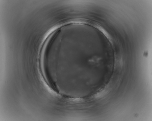 X0000092290853200709141258