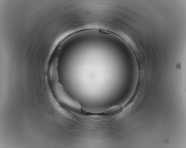 X0000092290854200709141258