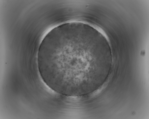 X0000092290855200709141258