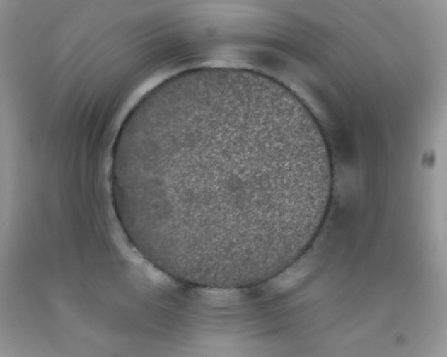 X0000092290856200709141258