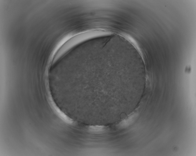 X0000092290859200709141258