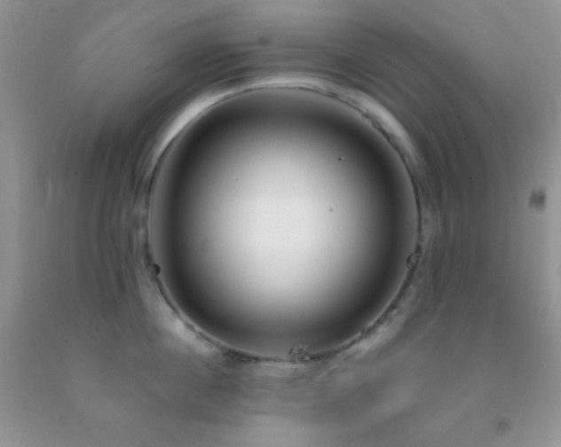 X0000092290860200709141258