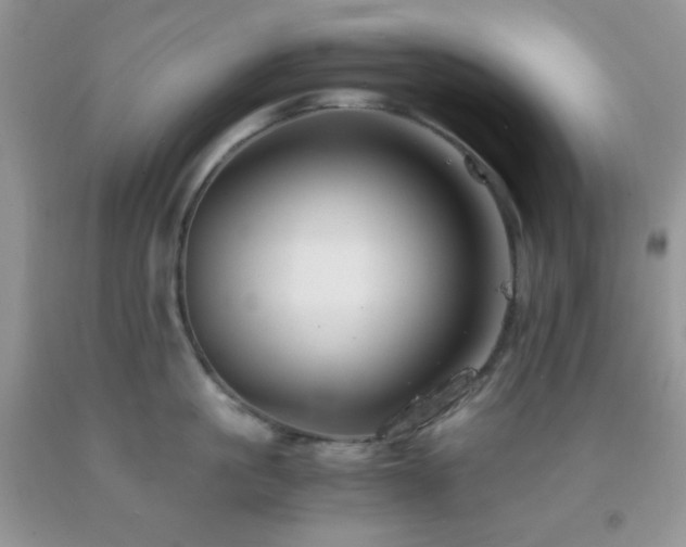 X0000092290861200709141258