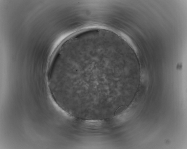 X0000092290863200709141258