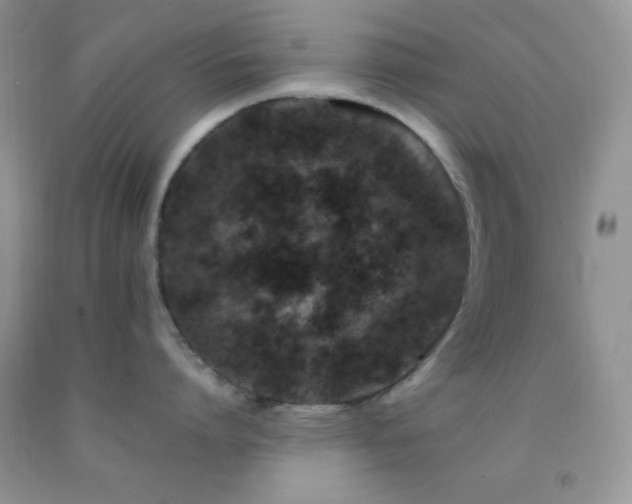 X0000092290864200709141258