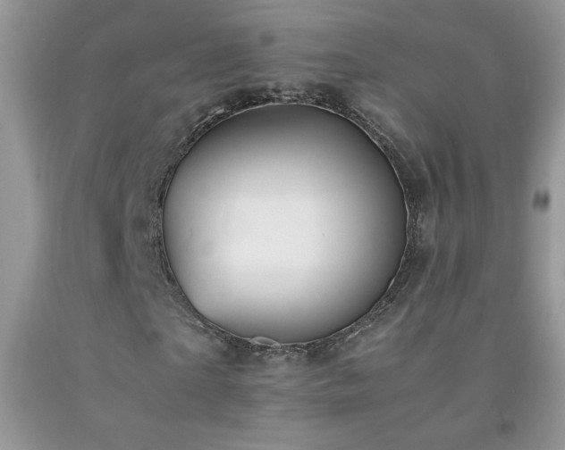 X0000092290865200709141258