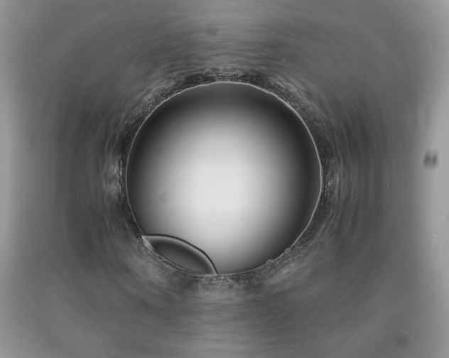 X0000092290866200709141257