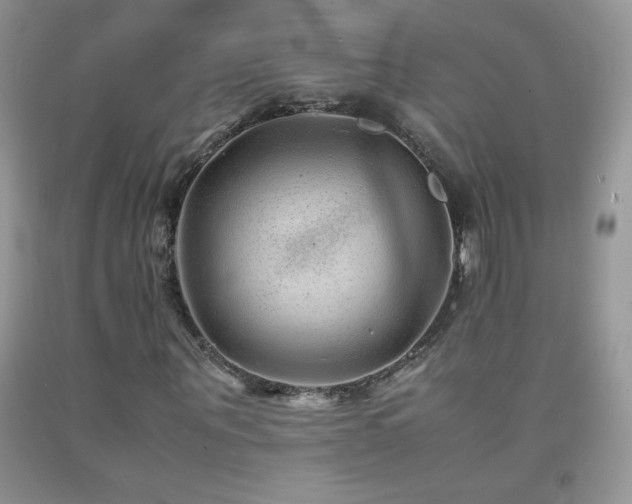 X0000092290867200709141257