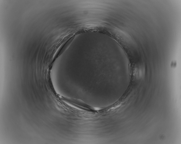 X0000092290868200709141257