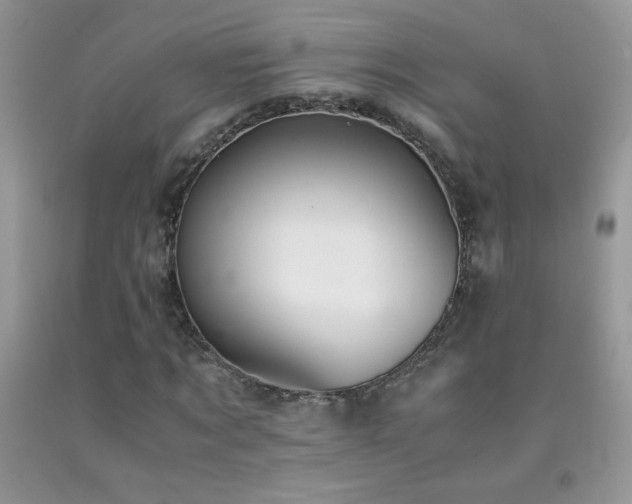 X0000092290869200709141257