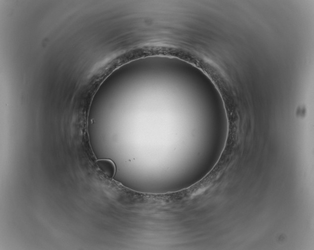 X0000092290870200709141257