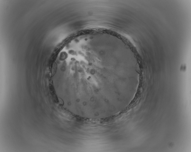 X0000092290871200709141257