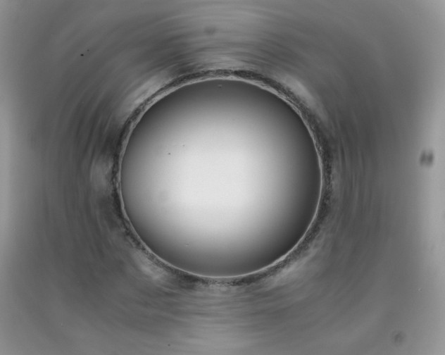 X0000092290873200709141257