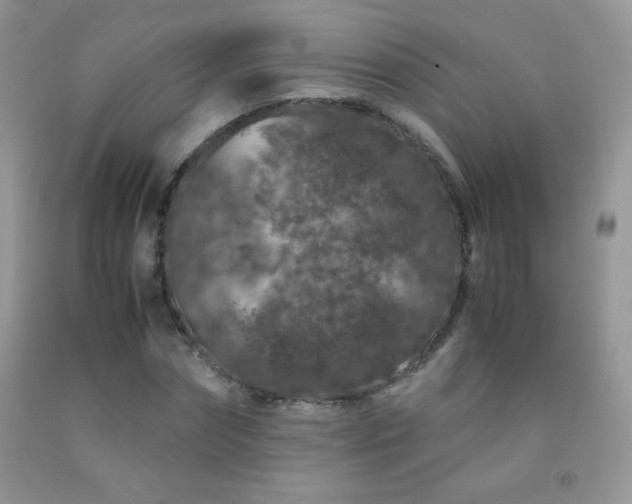 X0000092290874200709141257