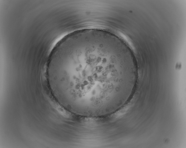 X0000092290875200709141257