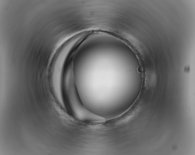 X0000092290876200709141257