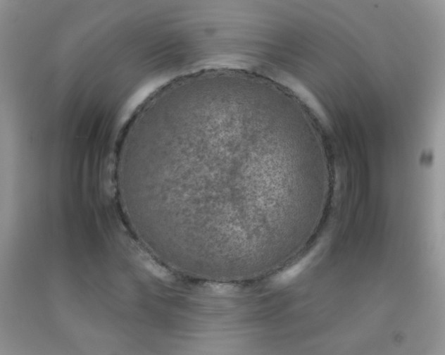 X0000092290878200709141257