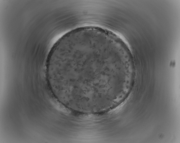 X0000092290879200709141257