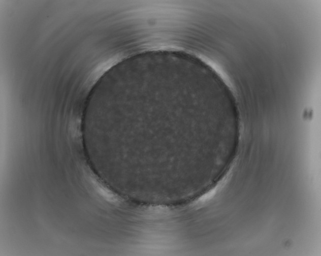 X0000092290881200709141257