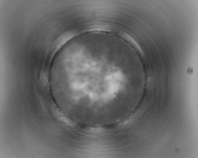 X0000092290882200709141257