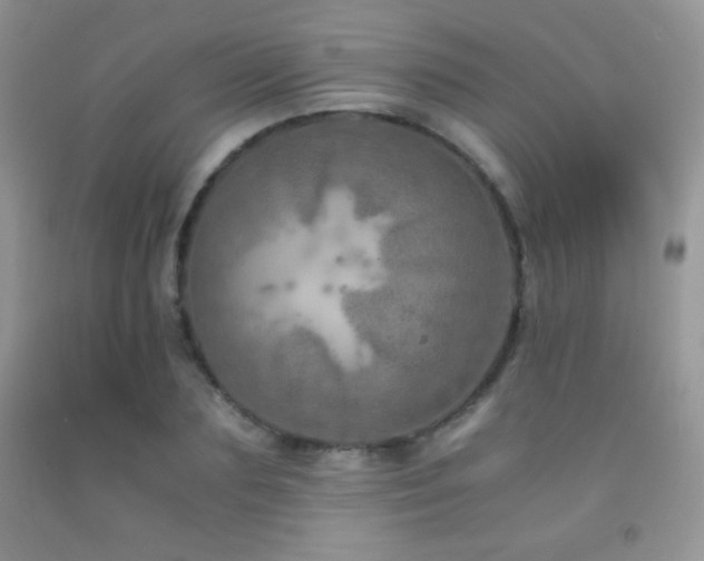 X0000092290883200709141257